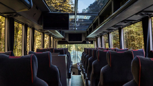 남방 탐험호 | 밀퍼드 사운드 당일 치기 여행 레드 파노라마 버스 왕복 | 팜 투어 선택 가능