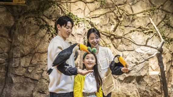 สวนสัตว์ธีม Zoolung Zoolung โซล (SEOUL TIMES SQUARE)
