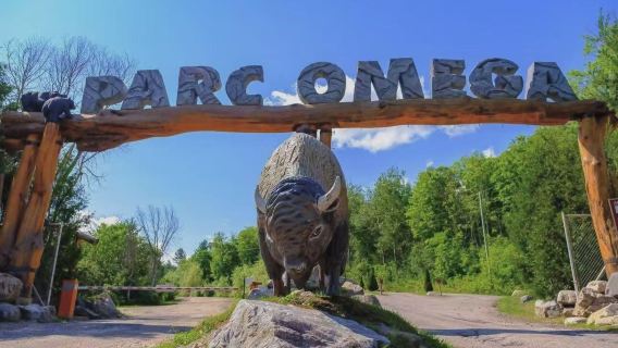 Kanada Ottawa - Taman Hidupan Liar Omega + Pekan Viral Quebec - lawatan sehari sewaan peribadi