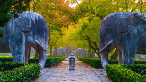 Inkomend toerisme eendaagse tour in Nanjing: Mausoleum van Sun Yat-sen + Ming Xiaoling Mausoleum + Zhonghua Poort + Confuciustempel