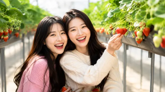 Winter limited edition | Fresh strawberry picking experience X Nami Island X Gangchon rail bike 1-day tour