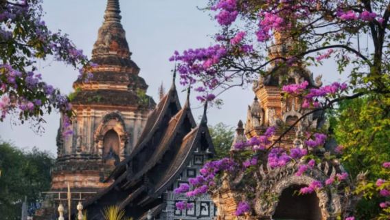 Customize travel Thailand Chiang Mai tour private charter 1-day tour Chinese-speaking service Old City/Nimmanahaeminda Road/Doi Suthep