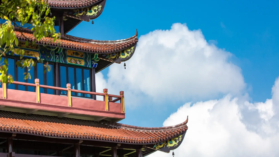 Shanghai departure: Nanbei Lake private charter 1-day tour