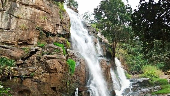 Lushoto: Soni Falls and Usambara Mountains Day Trip