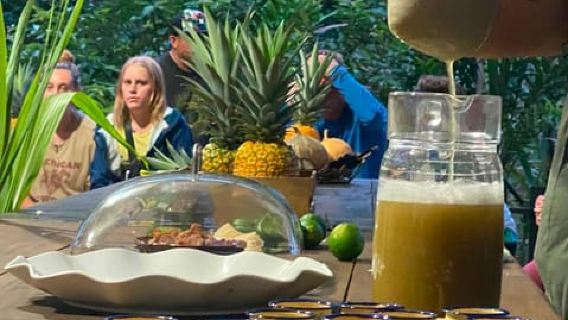 Bijagua Farm Tour: Coffee, Handmade Chocolate & Pineapple