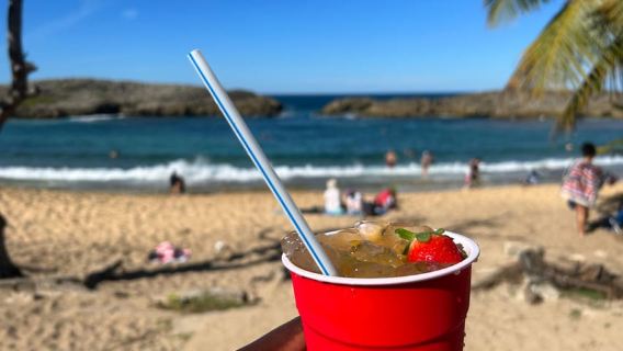 Charco Azul, Caves, Waterfalls, Beach, Free Adult Drinks