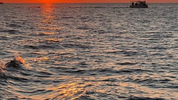 Fažana: Dolphin & Sunset