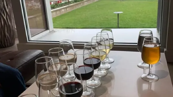Relaxing Lunch & Wine Tour through Niagara's Wine Country