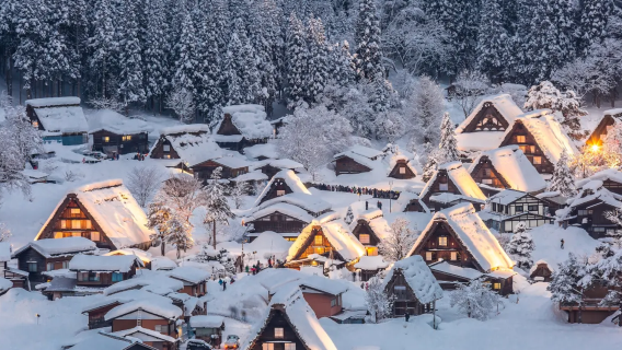 Kanazawa and surrounding areas, Japan: Customized private day tour of popular attractions [Itinerary adjustable/Chinese-speaking driver]