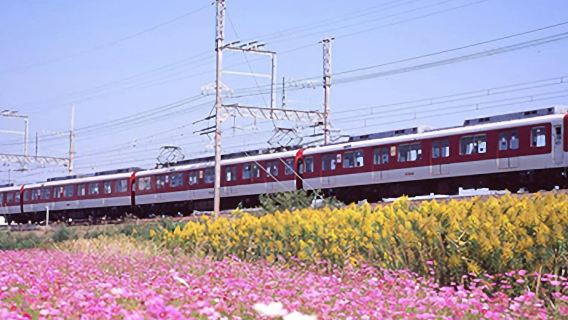 Kintetsu Rail Pass: ตั๋วดิจิทัล 5 วัน สำหรับโอซากะ นารา เกียวโต มิเอะ และนาโกย่า