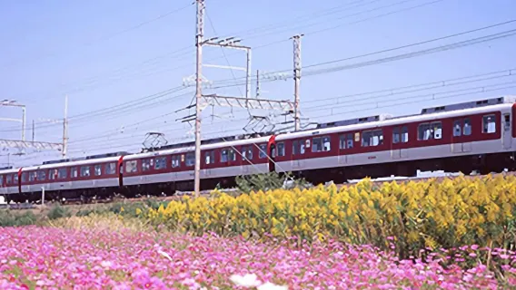 Kintetsu Rail Pass: 2-daagse digitale pas voor Osaka, Nara, Kyoto
