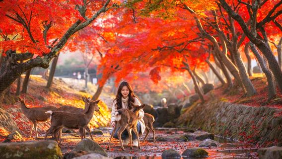 A day trip of Culture Experience to Kyoto's ancient architecture, Nara Park with adorable deer, and Fushimi Inari Shrine.