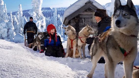 Passeio de um dia com trenó puxado por huskies + moto de neve + pesca no lago gelado + churrasco ao redor da fogueira em Rovaniemi, Finlândia