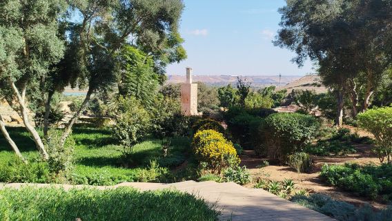 Rabat Muzium Seni Kontemporari Kebangsaan + Makam Mohammed V lawatan sewa peribadi - Canpin