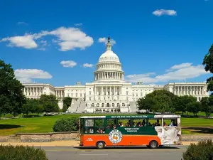 Washington DC Sightseeing Trolley Tour with 1 Stop