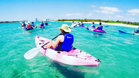 Australian Kayaking Adventures: 3-Hour Gold Coast Kayaking Exploration + Wave Break Island Snorkeling with Breakfast
