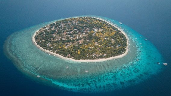 Bohol IslandTours
