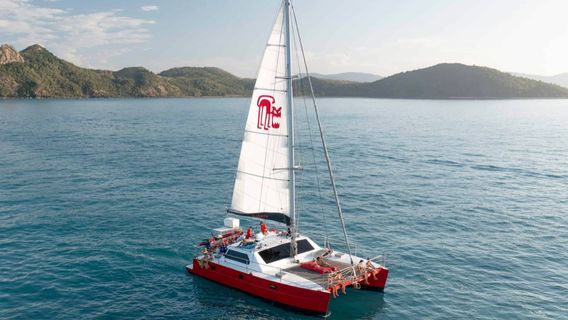 Airlie BeachTours
