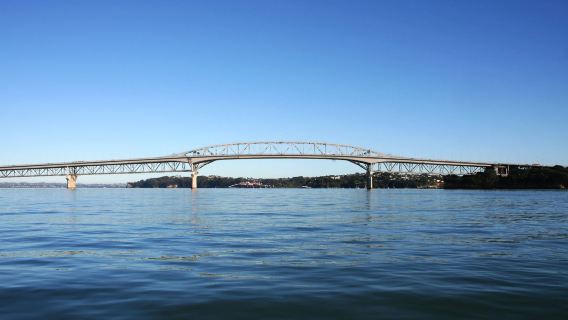 Auckland Chinese-Speaking Guide 1-Day Tour [Sky Tower + Queen Street + Art Gallery + Maritime Museum]