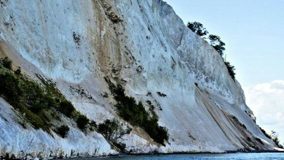 Гора Мёнс Клинт и Лесная башня: однодневная поездка из Копенгагена.