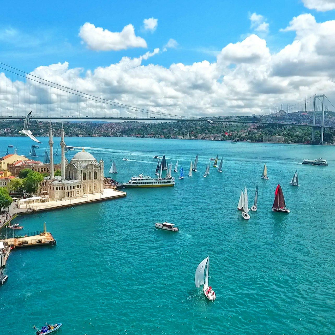 Istanbul: Bosphorus & Golden Horn Sightseeing Cruise + 3-Hr Bus Tour