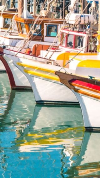 San Francisco City Day Trip | Unlock All the Essential Bay Area Attractions, Upgradeable Bay Cruise Experience Available