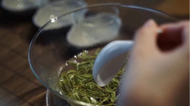 杭州西湖風景區|龍井村茶園徒步+採茶炒茶體驗+品獅峰龍井茶