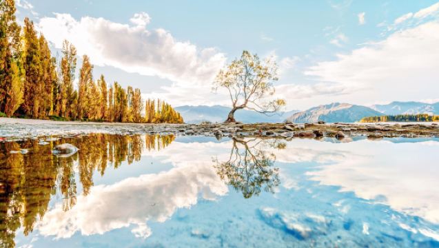 Excursión ajustable desde Queenstown, Nueva Zelanda ida y vuelta: Arrowtown + Lago Wanaka + Valle de Cardrona