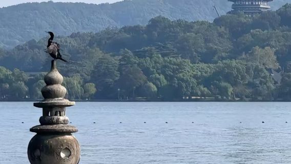 HangzhouTours