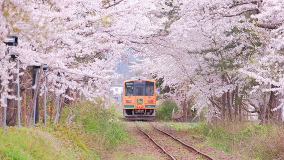 津輕市日遊