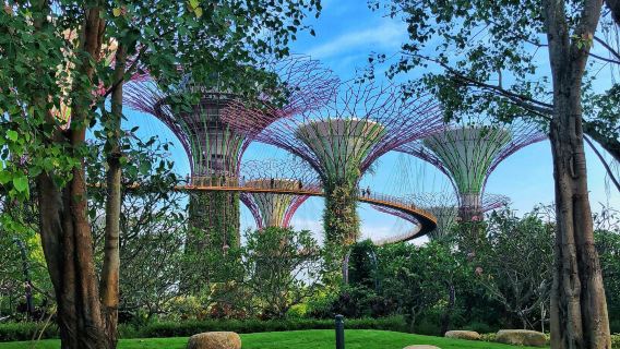 SingaporeTours