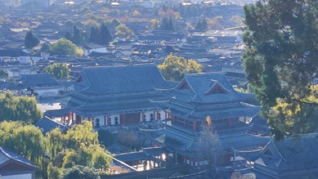 麗江古城+獅子山+文海+姉妹湖風景名勝区+雪嵩村ワンデーツアー（中英対応）