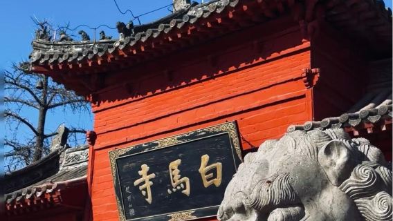 洛陽白馬寺+登封少林寺一日遊【純玩不進店丨專線導遊耳麥講解】