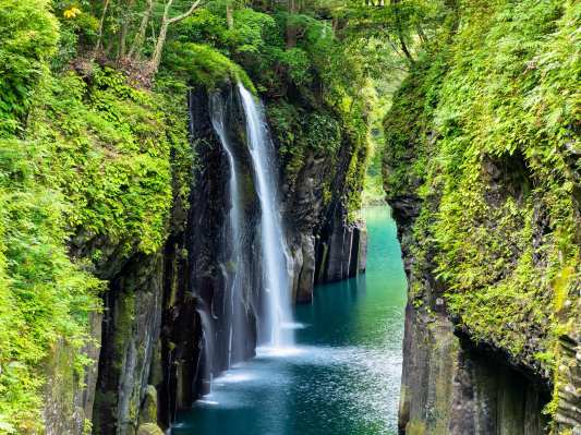 0355512000kz62ixf3B42.jpg?proc