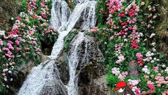 欒川日遊