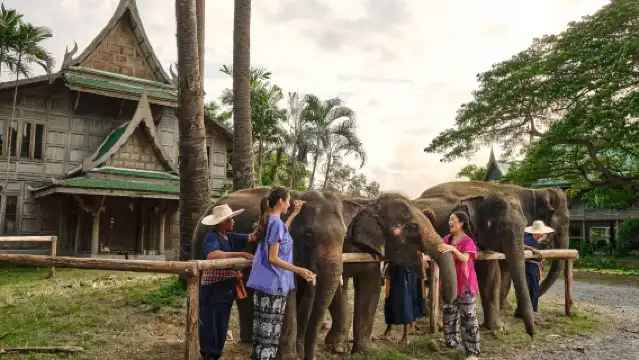 曼谷大象公園大象照顧體驗半日遊