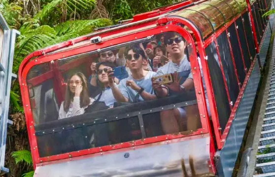 雪梨藍山14人小團之旅：包含三種纜車+三姊妹峰+市區可上門接送（限郵編2000）雪梨藍山國家公園之旅