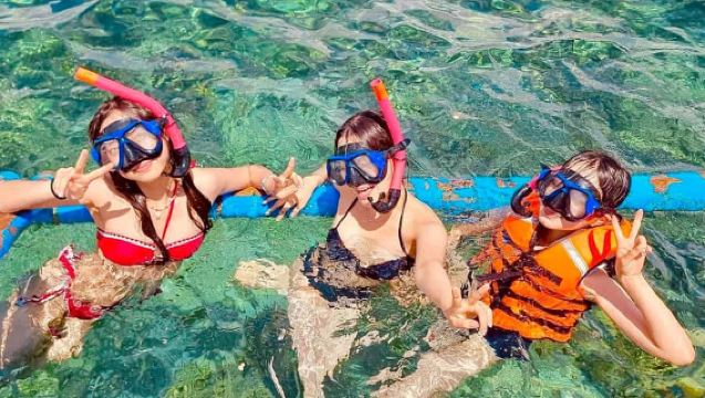 보라카이 섬에서의 아일랜드 호핑 투어, 뷔페 점심, 스노클링 세금 및 장비 포함, 해저 열대어와 산호초 감상