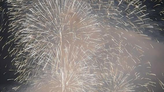 日本東京+伊豆+熱海海濱公園一日遊/行程可調-可定制多日