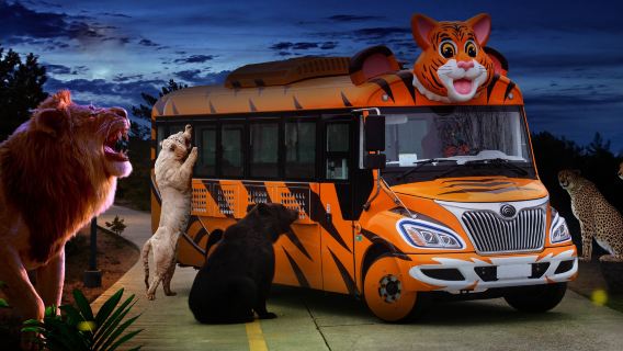 Experiencia nocturna en el Parque de Vida Silvestre de Shanghái: observación de pandas y alimentación en la zona de animales salvajes