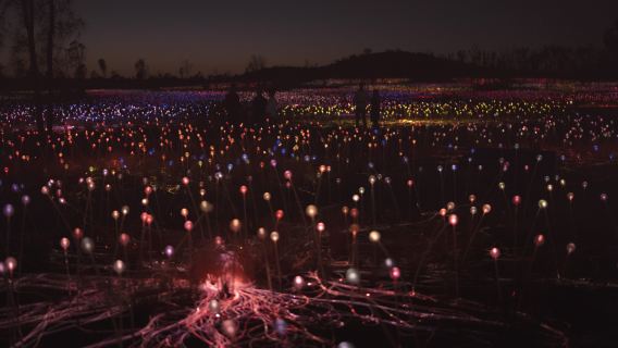 Cena al tramonto a Uluru + Campo di luci stellari selvatiche [Cena raffinata + servizio in inglese + trasferimento dall'hotel]