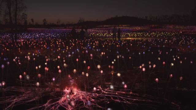 ウルルサンセットディナー+フィールドオブライト展【洗練されたディナー+英語サービス+ホテル送迎】