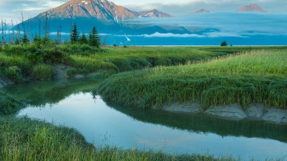 Anchorage: Gita di un giorno per ammirare i punti salienti del Turnagain Arm