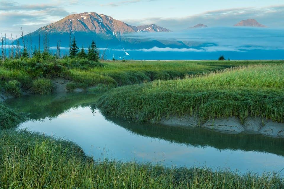 Anchorage: Sorotan Fotografi Turnagain Arm Perjalanan Sehari