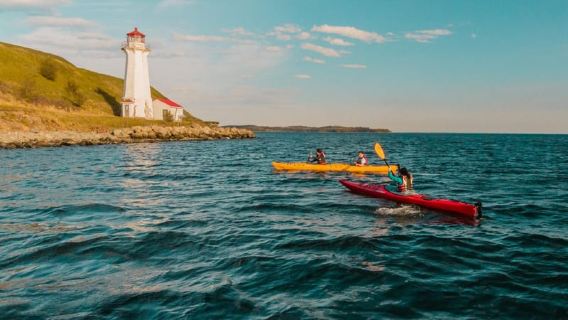 Halifax: Georges Island Kayak Tour