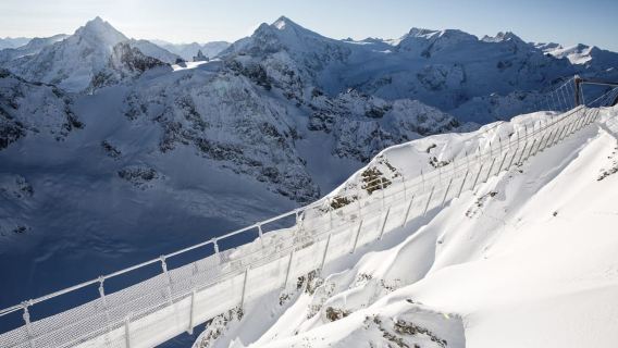 Ab Zürich: Tagestour Engelberg, Titlis und Luzern