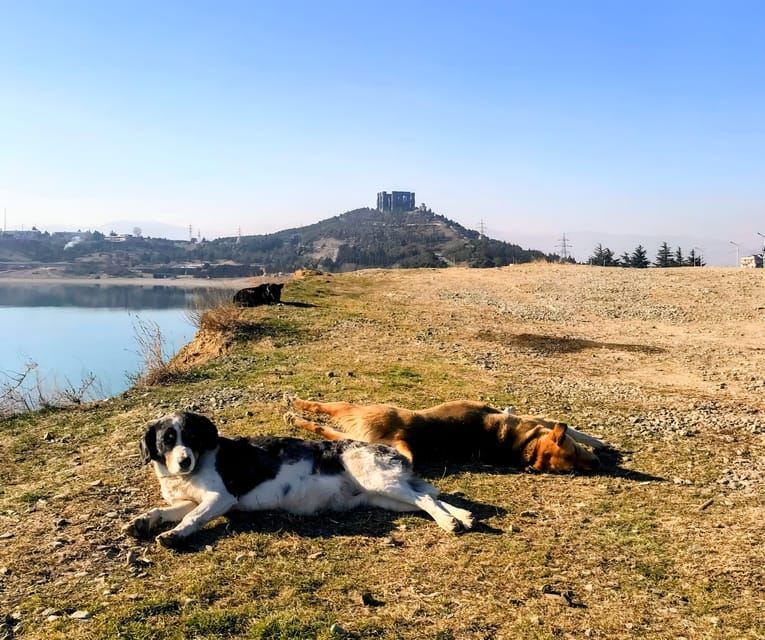 From Tbilisi: Sabaduri, Bears, Jvari & Chronicle of Georgia