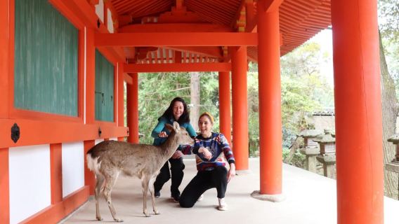 Visita privada a Nara y cata de sake (saliendo de Kioto/Nara)