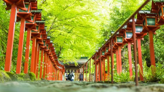 聖なる峰と古道:鞍馬・貴船ハイキング体験