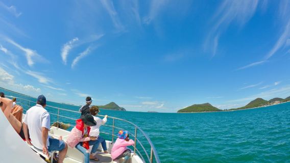 Port Stephens: crociera per l'osservazione dei delfini